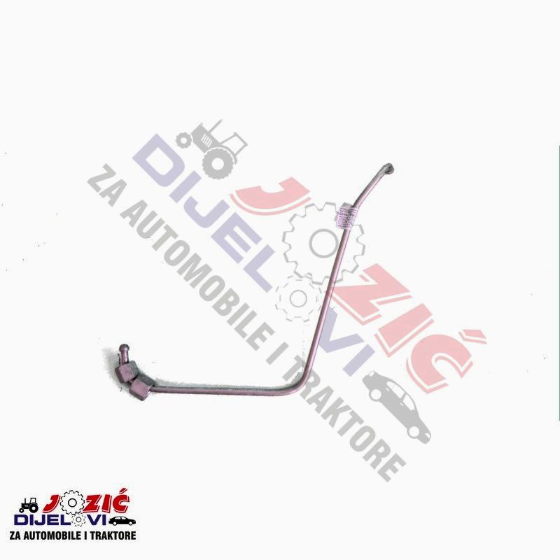 Daisy on the Ohoopee